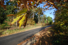 Bullsgate Cottage, Newport, Isle of Wight. Self Catering Cottages in Newport, Isle of Wight