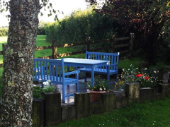 Self Catering Cottage in Cornwall, Jane